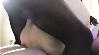 White ssbbw cunt with mouth dig big black cock