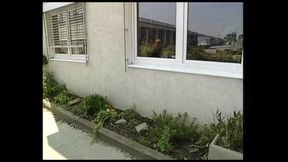 Brunette Horny Whore Suck a Big Cock Before She Get Fuck