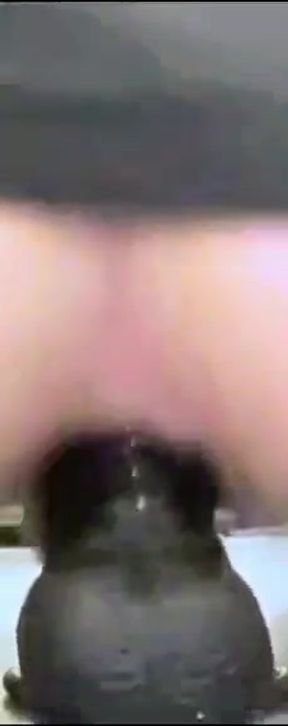 I dildo my ass
