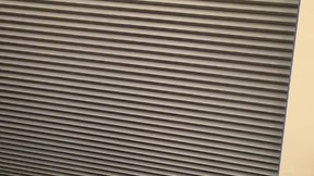 Macho dog masturbates his large uncircumcised testicles