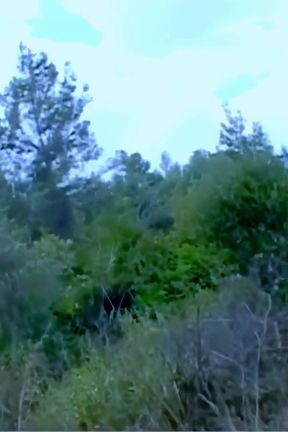 Lola-bella : wild sex action with this group of bitches