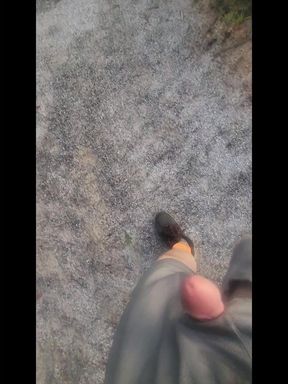 Went for a Walk at the Truck Stop