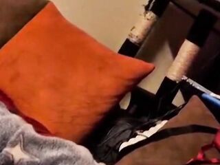 Black in heat, no restraint, This babe wishes hardcore, this babe's served