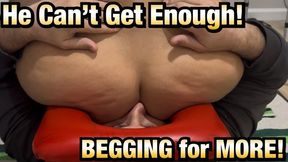 He's Begging For More!