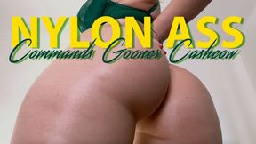 Nylon Ass Commands Gooner Cashcow