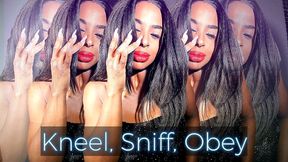 Kneel, Sniff, OBEY!