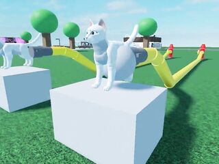Cat Cum Tank Inflation