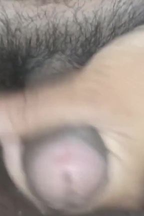 My Cock Is so Crazy