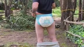 Diapered day in the forest
