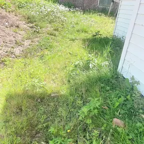 Amateur GF pisses on the garden then gives a blowjob outside on the grass.