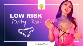 Low Risk Panty Task