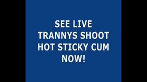 Live Tranny Cum 24