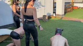 MISTRESS LILY DUPONT : PUPPIES AT THE PARK FOR TRAINING