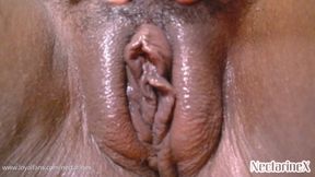 Close Up Pussy Worship