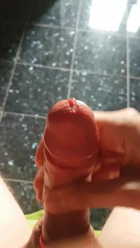 Big Cock Public Bathroom Cumshot - Part 2