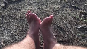 Give Me a Home Among the Gum Trees with Lots of Feet Please - Manlyfoot Roadtrip