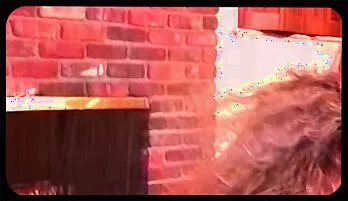 Wild Lesbian Anal Orgy With Toys & Threesome Action New this week