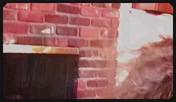 Wild Lesbian Anal Orgy With Toys & Threesome Action