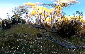 Testing Out A Bad Dragon Dildo. 360VR