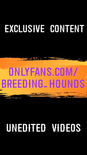 Emotional moment from &quot;Bearded cub got his ballsack emptied by his tattooed buddy after a big hike in the woods.&quot;