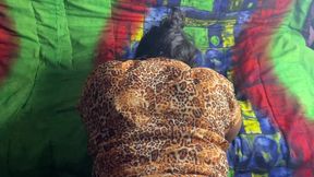 desi indian village couple sex