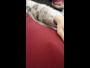 Fox the Selfsucker