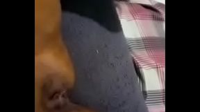 Elle est pr&ecirc_te pour baiser