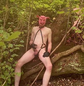 Outdoor Cock Fun With Cum
