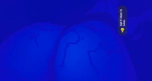 booty all around the world