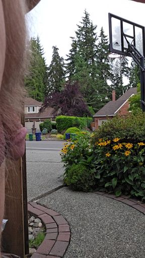 Overcast Morning and Backyard Coffee