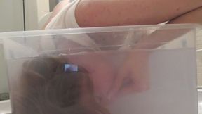Blondie dives into a large transparent container! MP4