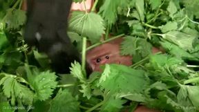 Masturbating in the nettle spa