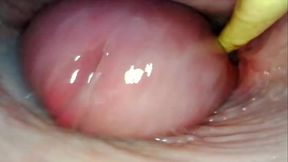 Wild and Wet Creampie: Big Booty Babe's Anal Heaven