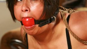 Samantha Milan is a pantyhose clad, Ass Cracked, Humiliated Table Top Housewife! All Binding & Gagging Done On Camera! *RE ENCODE 2025* NEW PREVIEW