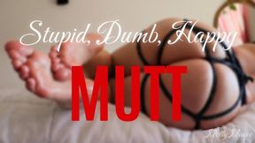 Stupid Mutt, Dumb Mutt, Happy Mutt