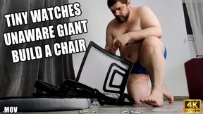 KingMarti: Tiny Watches Unaware Giant Build A Chair - 4k UHD 2160p - MOV