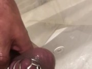 Rock hard cock caged in a shower chastity