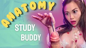 Anatomy Study Buddy: ThePrincessLuxy turns a quiet library cram session into a captured fantasy that ends with you laid out on my bed for a slow, hands-on Urethral Sounding — with Medical femdom, Asian Dominatrix and Ruined Orgasm
