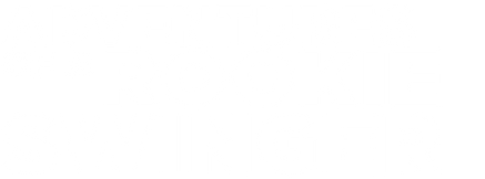 Adventures of a rookie swinger