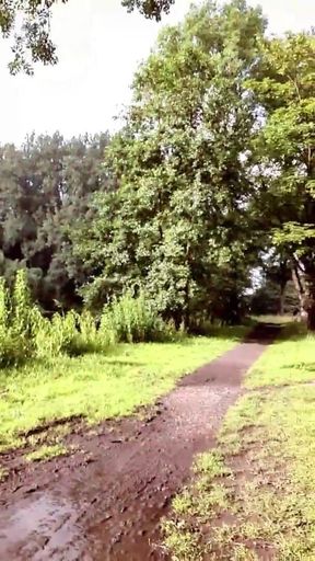 Slutboyben Cam4 Cock Milk in