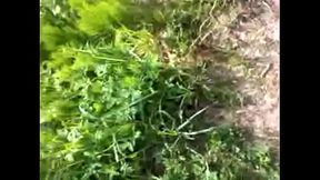 Christofer D&ouml_ss Sexual Exhibitionist