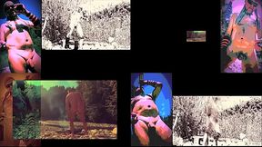 pornopticon - the joy of nudism