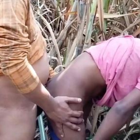 Indian skinny sissy bottom get hard fuck at jungle. boysex inside village sugarcane  jungle. gay sex gandu ki chodai khet ma