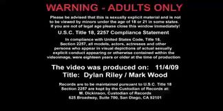 Dylan Riley fucking in the office with her tits