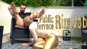 Risky Public Terrace WMV