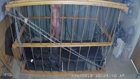 The Cagecam  a non-edited downloaded feed from &quot_the cage&quot_