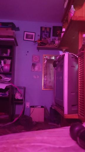 Trans Girl Gets Hot for You