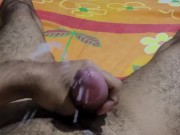 peludo batendo uma