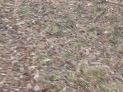 a cold walk to pee in the woods