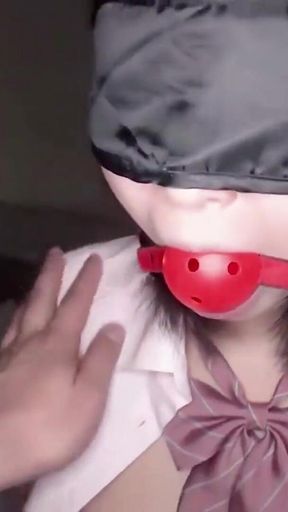 Asian Angel 24400